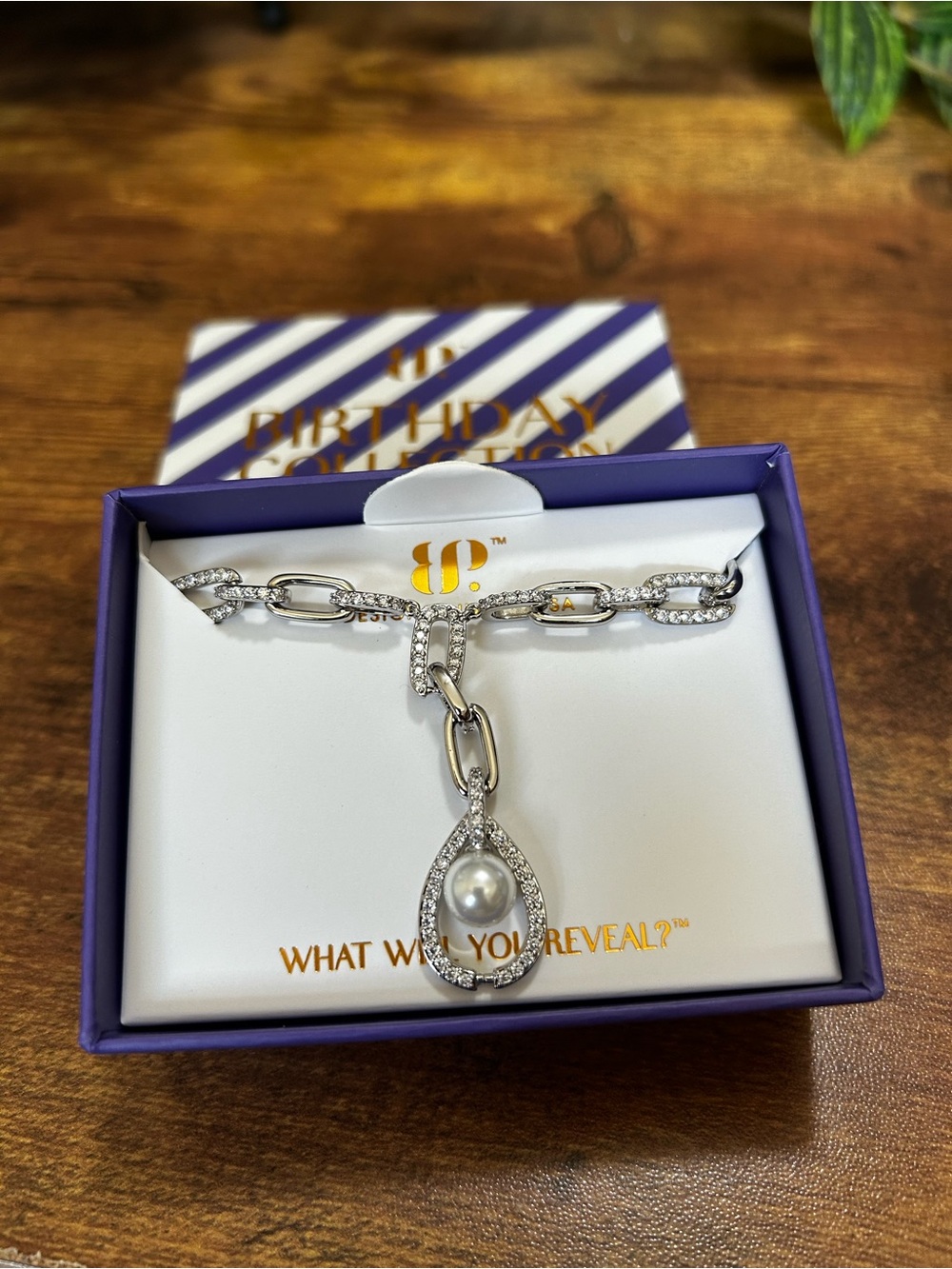 Bomb Party April 2026 “It’s Got To Be Mine” Rhodium Necklace